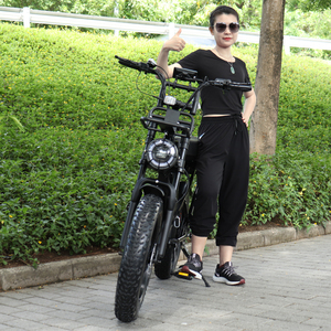 X80 Pro Electric Dirt Bike Livraison Scooter Fatbike V20 Batterie E-Bike avec cadre en acier au lithium 48v - Product Image 5