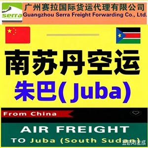 Agente de Carga Aérea Africana, Transitario de Carga Aérea en Mayotte, Agente de Primera Clase en Gaborone DZA, Guangzhou, Shenzhen, Shanghái - Product Image 4