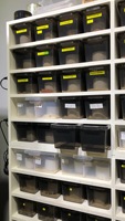 Usine en gros A4 A6 boîte à tiroirs pour animaux de compagnie Boîtes à cage transparente pour reptiles serpent gecko élevage boîte personnalisée pour armoire