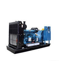 Générateur diesel intelligent AVR de secours pour salle informatique Big Data, 300 kVA