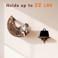 Lit hamac de luxe pour chat avec marches, meuble mural pour chats d'intérieur et chatons, ensemble lune et étoile, étagères murales pour chat