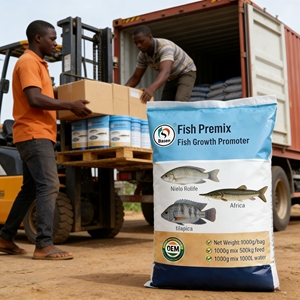 Prémélange pour <span class=keywords><strong>animaux</strong></span> aquatiques Baisheng 500g : accélère l'engraissement du poisson-chat, élimine les toxines, protège l'intestin, taux de survie élevé, résistant à la chaleur. - Product Image 5