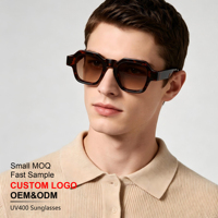 Lunettes de soleil carrées en propionate personnalisables OEM/ODM avec logo, unisexe, charnière à broche, mode premium, protection UV400, pour l'extérieur, vente en gros directe usine