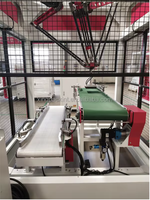 Robot Delta Automatique pour l'Emballage de Sacs, Bouteilles, Cartons, Barils, Boîtes - Haute Vitesse 2000 Cartons/Heure - Alimentation, Tabac, Métal/Plastique