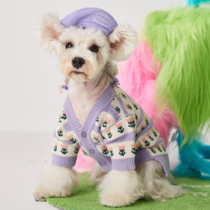Gorros Divertidos para Perros con Forma de Boina, Accesorio de Moda para Mascotas de Invierno con Estampado Animal para Primavera o Halloween, Gorro Decorativo para Gatos - Product Image 3