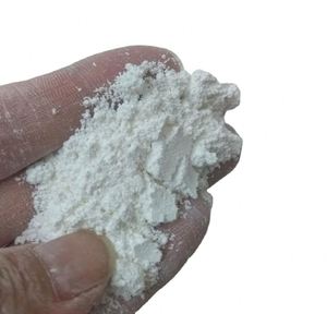 Pigment polyvalent de revêtement au dioxyde de titane - Product Image 5