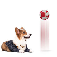 En gros personnalisé imprimé plage de tennis jouets pour animaux chien balle de tennis interactive ballon d'entraînement