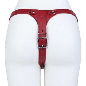 FRRK Cage à pénis inversée en acier, Ceinture de chasteté, Harnais de retenue corporelle complète, Sangle, pour Sissies, BDSM, Bondage, Produits sexuels pour adultes, Vente en gros - Product Image 6