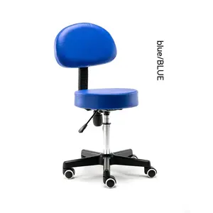 Makeup Chair Salon Hospital Use Gym Hairdressing Nail Spa Workers Pulley Rotating Lifting Backrest Beauty Stool Special Features