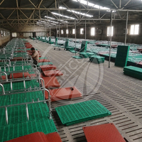 Nouvelle cage de mise bas en acier galvanisé à chaud de type H, protection anti-écrasement pour porcelets, enclos de mise bas pour truies, facile à utiliser pour usage commercial