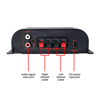 AK170 Amplificateur de Puissance Hifi 12V pour Maison et Voiture Stéréo Basse Audio Ampli Haut-parleur Classe D pour Son de Voiture et Maison