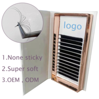 Cils Méga Volume Corée Pbt 003 mm Logo personnalisé Easy Fan Silk Mega Volume Easy Fanning Eyelash Extensions