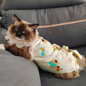 Traje de esterilización para gatos, de algodón transpirable, anti-lamido, ropa posquirúrgica para gatos, diseño lindo. - Product Image 2