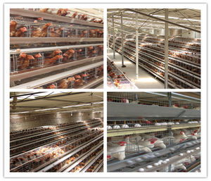 Leabon <span class=keywords><strong>3</strong></span> Étages 4 Portes <span class=keywords><strong>Lapin</strong></span> <span class=keywords><strong>Cage</strong></span> À Volaille Cages de Poulet de Couche À Vendre - Product Image 6