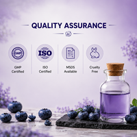 Minyak Konsentrat Aroma Buah Alami Blueberry Grosir untuk Pembuatan Lilin, Sabun, Parfum - Kelas Kosmetik Organik