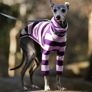 <span class=keywords><strong>Ropa</strong></span> para mascotas, camisa de fondo, suéter de dos piernas, Whippet <span class=keywords><strong>Doberman</strong></span> Pinscher, <span class=keywords><strong>ropa</strong></span> para perros a rayas - Product Image 5