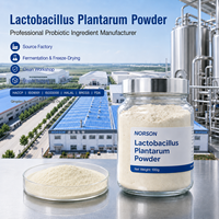 Polvo de Lactobacillus Plantarum con Identificación de Cepa, Control de Calidad Interno, Pruebas de Lote y Soporte de Documentación