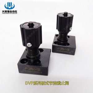 Vanne de régulation de débit de type plaque Xingchenrui DVP10 10/2 pour huile haute pression - Product Image 4