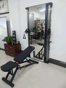 Casa di commercio attrezzature per il fitness FTS Glide Funzionale <span class=keywords><strong>Trainer</strong></span> a Parete croce funzionale <span class=keywords><strong>trainer</strong></span> - Product Image 5