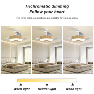 42 Inch Có Thể Thu Vào Quạt Trần 3 Vô Hình Abs Lưỡi Thông Minh Quạt Trần Điều Khiển Và Ánh Sáng Dimmer Chuyển Đổi - Product Image 5