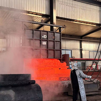 Wjh Oem Generator Shield Ring Forging for Power Generation Equipment