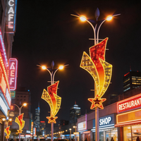 Luces LED Decorativas para Exteriores, Montadas en Poste, 2D, IP65, Impermeables, con Motivos Navideños y para Bodas, Personalizadas OEM