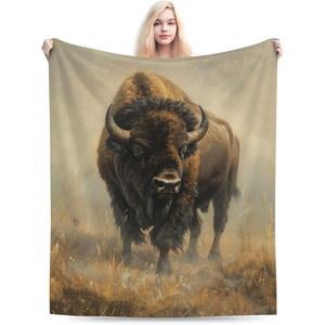 Assorted Print Flannel Blanket Throw Blanket Nap Blanket Fade Resistant Lightweight for <b>Bed</b> Sofa Couch Custom Print YH-MT-240 - Product Image 2