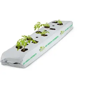 Soilless cultivation of coconut peat substrate grow bag with strawberry planting