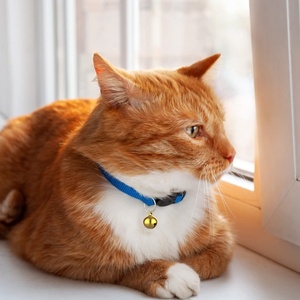 Giá Cả Thuận Lợi Vàng <span class=keywords><strong>Mini</strong></span> Nhỏ Brass Chuông Thủ Công Kim Loại Jingle Chuông Cho Mèo Con Chó Cổ Áo Chuông Móc Khóa Lễ Hội Trang Trí - Product Image 5