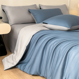2025 nuova luce di lusso stampato biancheria da letto <span class=keywords><strong>in</strong></span> <span class=keywords><strong>seta</strong></span> lavata Set Cool Feeling <span class=keywords><strong>copripiumino</strong></span> 4 pezzi tra cui trapunta lenzuola all'ingrosso - Product Image 1