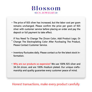 Bloesem Cs Sieraden Groothandel 925 Sterling Zilver Mode Fijne Geometrische Hanger Dubbele Ketting Zirkonia Sieraden Sets Voor Vrouwen - Product Image 3