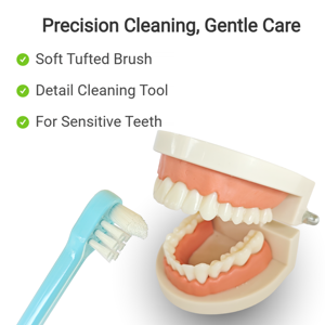 סיטונאי מברשת שיניים סינגל טאפט רכה לניקוי גשר אורתודונטי ושתלים ראש קטן מברשת לשיני בינה ולמרווחים למבוגרים - Product Image 6