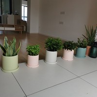 Décoration de la maison pot de plantes succulentes coloré nordique en gros céramique fleur planteur Pots pot de fleurs en céramique