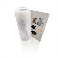 Film PET DTF haute flexibilité format A4 pour impression numérique, pelage à froid, double face, lamination 3D, transfert thermique pour tasses et céramiques