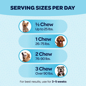 Complément alimentaire pour chien biologique 12 en 1 OEM/ODM, soutien quotidien complet pour la peau, les articulations, l'immunité, la vitalité, tous âges, poudre - Product Image 3