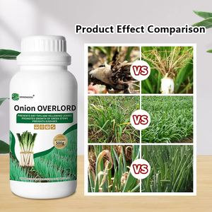 Engrais universel biologique, stimulateur de croissance à haut rendement pour les plants d'échalote, promotion de la racine liquide, spécialité pour les plants - Product Image 4