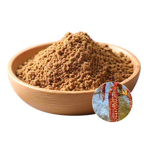 バルクポプラ花エキス10:1アスペン花エキスパウダー - Product Image 2