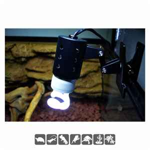 <span class=keywords><strong>Lampe</strong></span> fluorescente spirale UVA UVB 13W 26W <span class=keywords><strong>pour</strong></span> <span class=keywords><strong>terrarium</strong></span> de reptiles, E26 E27, <span class=keywords><strong>pour</strong></span> reptiles de jungle et de désert, boîte d'élevage de dragons barbus - Product Image 6