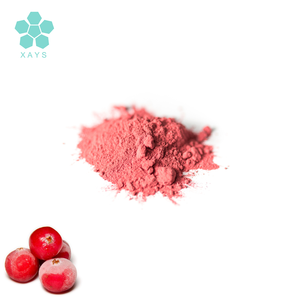 Fornecimento Orgânico Food Grade Cranberries Cranberry Fruit Extract Em Pó - Product Image 2