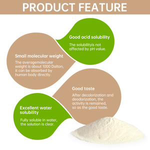 Bubuk Protein Kenari Molekul Kecil yang Mudah Larut dan Terlaris Membantu Meningkatkan Fungsi Otak - Product Image 1