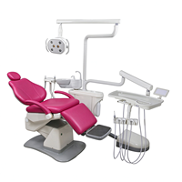 Fauteuil dentaire pliant léger, unité dentaire mobile avec compresseur d'air, lampe buccale LED, crachoir en céramique pour petite clinique et action de prévention