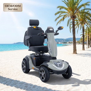 Scooter Elettrico Smart da 750W con Schermo TFT da 5,5'', Avvio Senza Chiave e Lunga Autonomia - Ruidi R49SE - Product Image 2