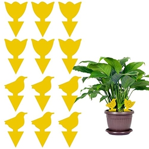 Planta atrapadora de insectos de doble cara, pegamento fuerte no tóxico, trampas para moscas amarillas - Product Image 2