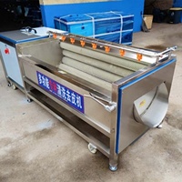 Commerciële Industriële Machine Plc Pomp Motor Peeling Wassen Aardappel Kurkuma Gember Fruit Groente Hotel Groene Kokos Dunschiller
