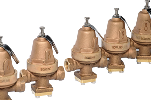 Régulateur de pression hydraulique à action directe OEM personnalisé en laiton forgé avec diaphragme en bronze phosphoreux 600 PSI - Product Image 4