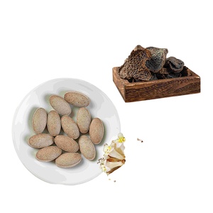Extrait de Cistanche Tubulosa en poudre naturel à 85 % de glycosides de phényléthanoides anti-âge pour les compléments alimentaires à base de plantes pour les soins de la peau des hommes (OEM) - Product Image 5