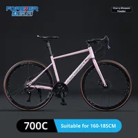 Sepeda Balap Dewasa Zhui Feng W174 700C Grosir, 21-Speed Rem Cakram Rangka Baja