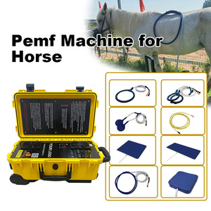 Máquina PEMF de Alta Potencia para Caballos, para Mejorar la Circulación Sanguínea Local y Promover una Mejor Calidad de Sueño - Product Image 1