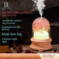 Diffuseur d'arômes et humidificateur 2 en 1 avec fleur préservée et veilleuse colorée pour la maison, la chambre et le bureau
