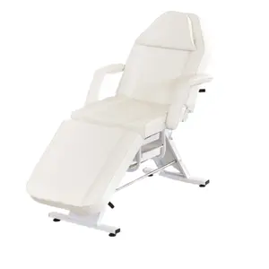 European Style Spa Bed Beauty Couch Bed Massage Table Salon Furniture Beauty Bed Chair Dual Purpose Portable Modern
